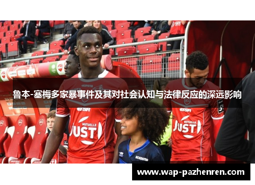 鲁本-塞梅多家暴事件及其对社会认知与法律反应的深远影响