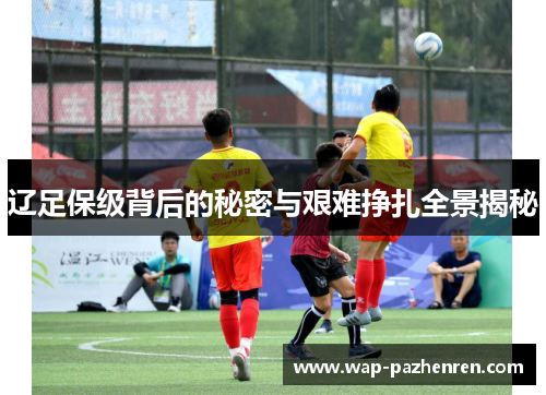 辽足保级背后的秘密与艰难挣扎全景揭秘 辽足保级背后的秘密与艰难挣扎全景揭秘
