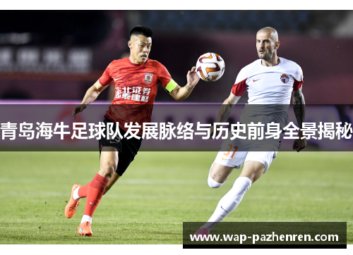 青岛海牛足球队发展脉络与历史前身全景揭秘