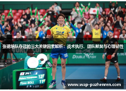 张德培队夺冠的三大关键因素解析：战术执行、团队默契与心理韧性