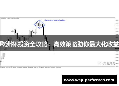 欧洲杯投资全攻略：高效策略助你最大化收益