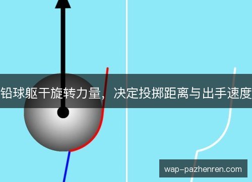铅球躯干旋转力量,决定投掷距离与出手速度 铅球躯干旋转力量,决定投掷距离与出手速度